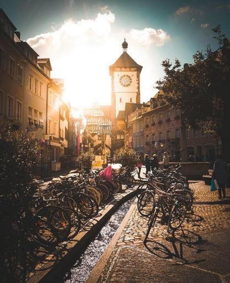 Luxus Apartment Colloseum In Der Stadt Freiburg im Breisgau Exteriör bild