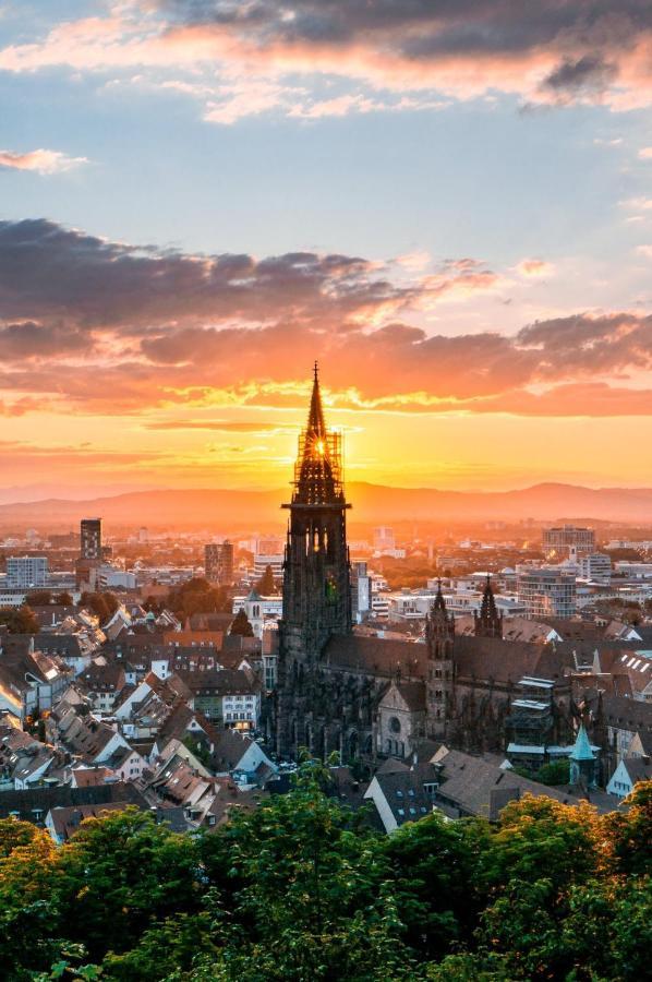 Luxus Apartment Colloseum In Der Stadt Freiburg im Breisgau Exteriör bild