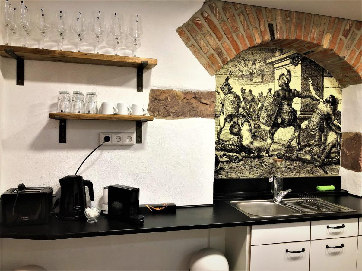 Luxus Apartment Colloseum In Der Stadt Freiburg im Breisgau Exteriör bild